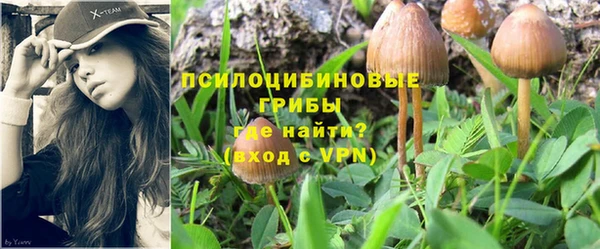 первитин Арсеньев