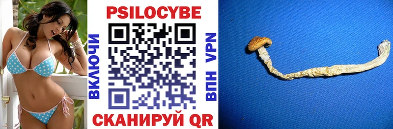 Псилоцибиновые грибы Psilocybe  Далматово 